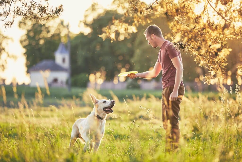 homem com cachorro no parque brincando com frisbee