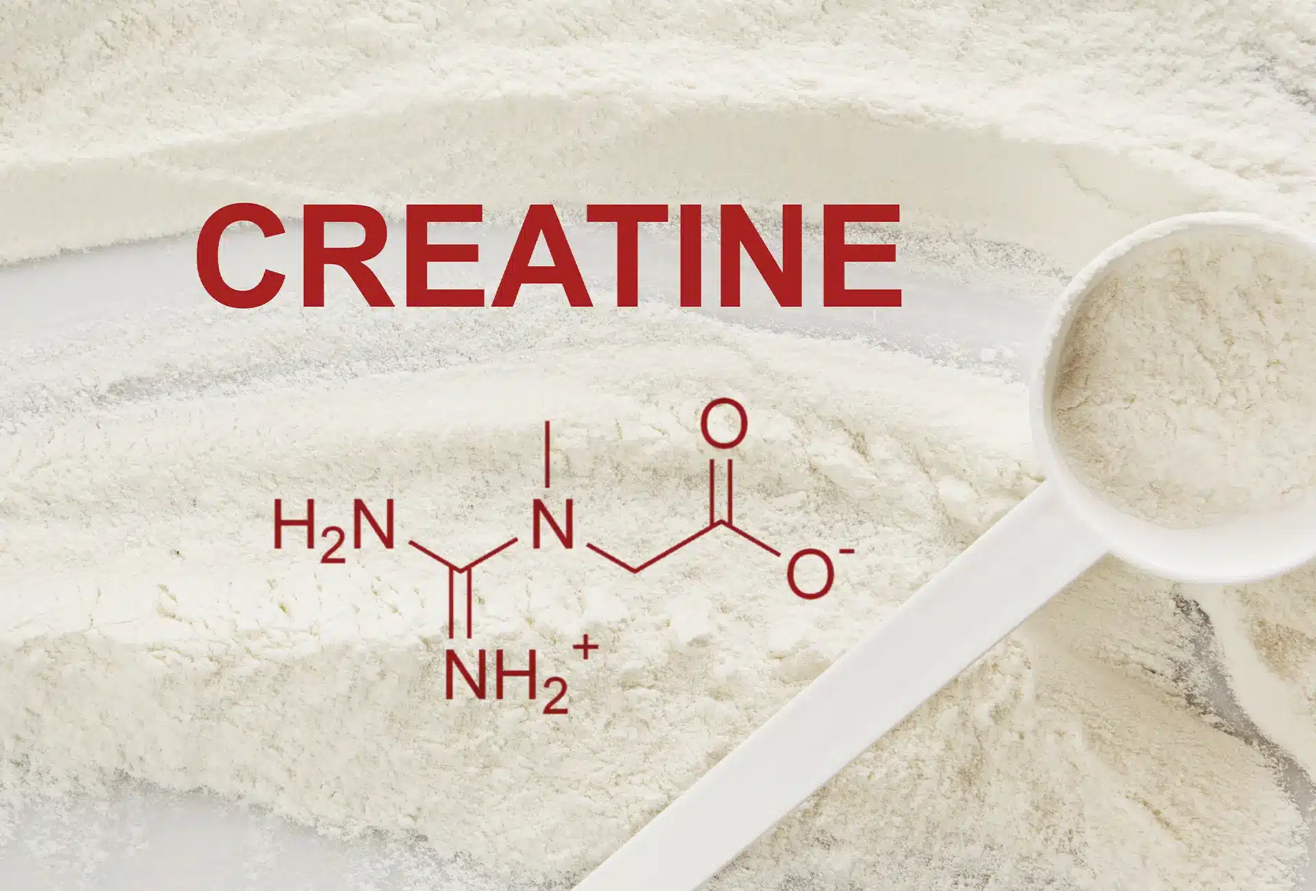 creatina