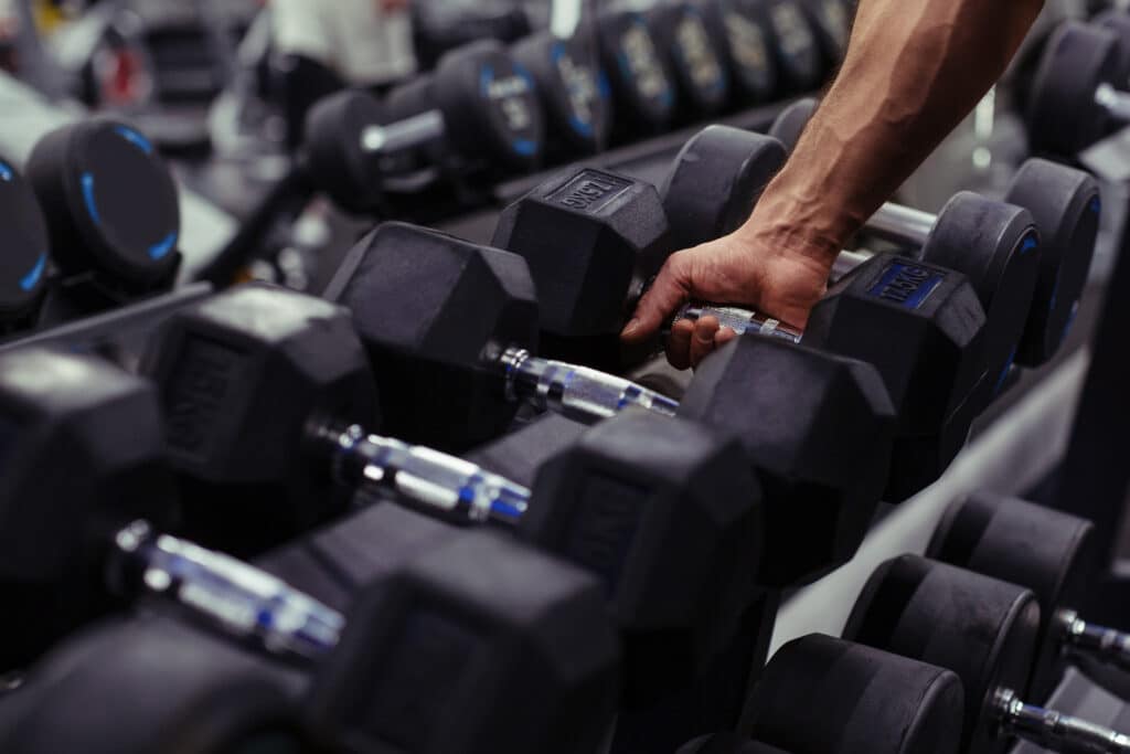 halteres academia de musculação