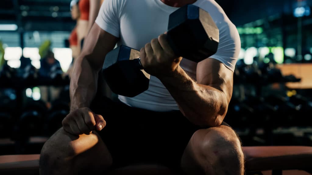 anho-de-massa-muscular
