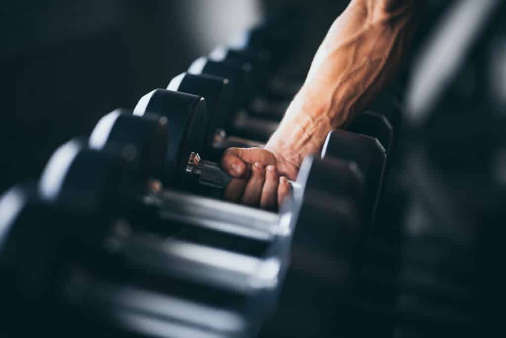halteres academia treino de hipertrofia